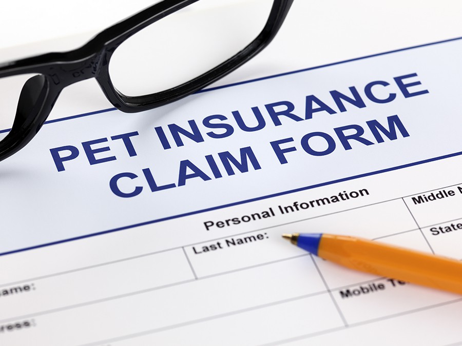 「PET INSURANCE CLAIM FORM(ペット保険)」と書かれている用紙