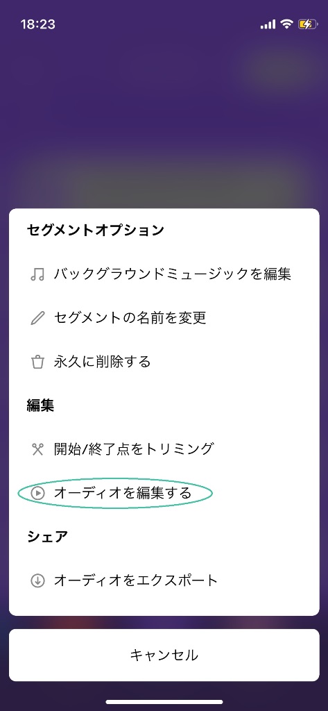 選択したセグメントを編集する