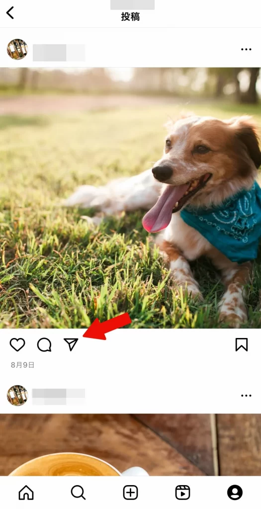 Repost: For Posts, Storiesの使い方①