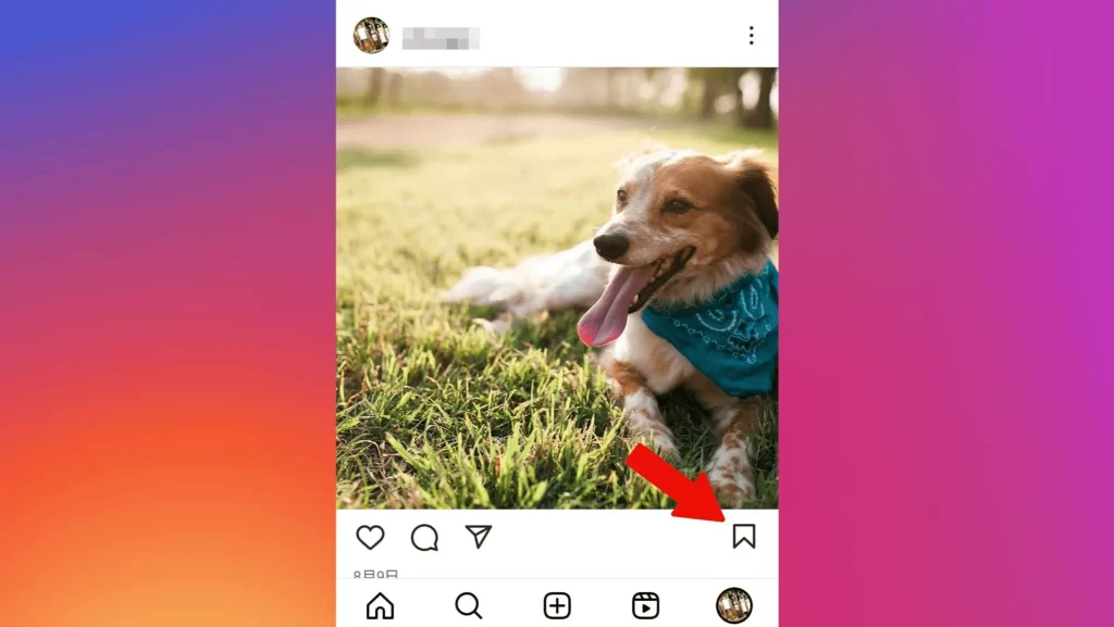 Instagram(インスタグラム)の画像・動画を保存する方法