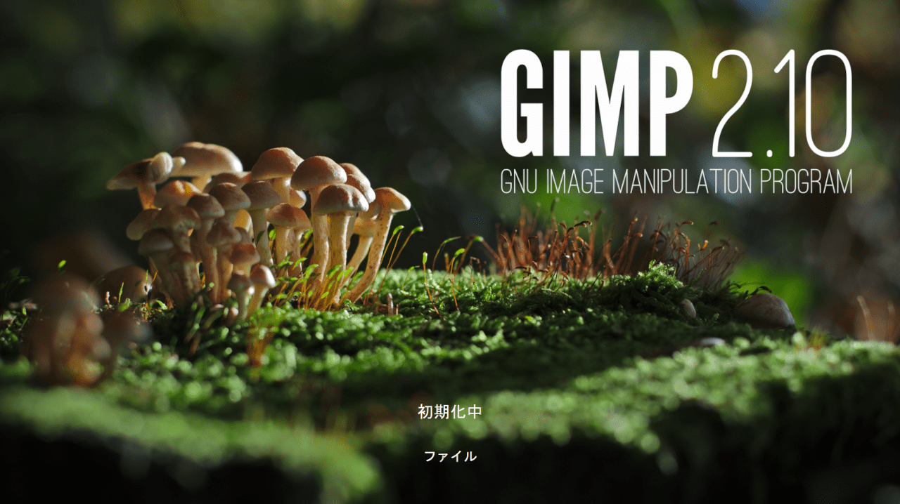 GIMPのインストール画面