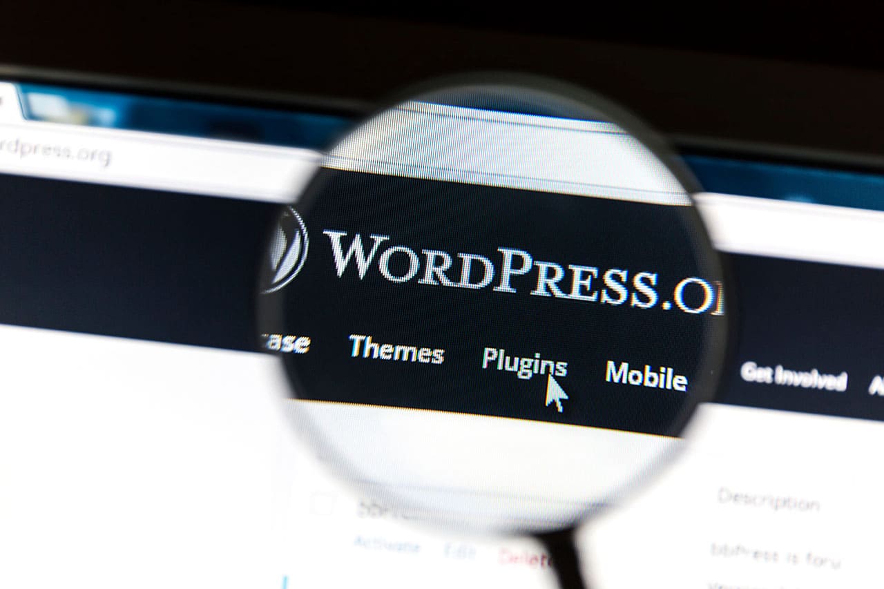 WordPressがポートフォリオ作成におすすめな理由のイメージ