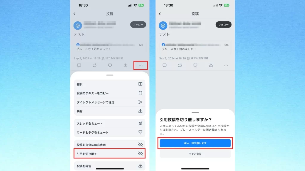 Bluesky(ブルースカイ)の「引用を切り離す」のスクショ画像