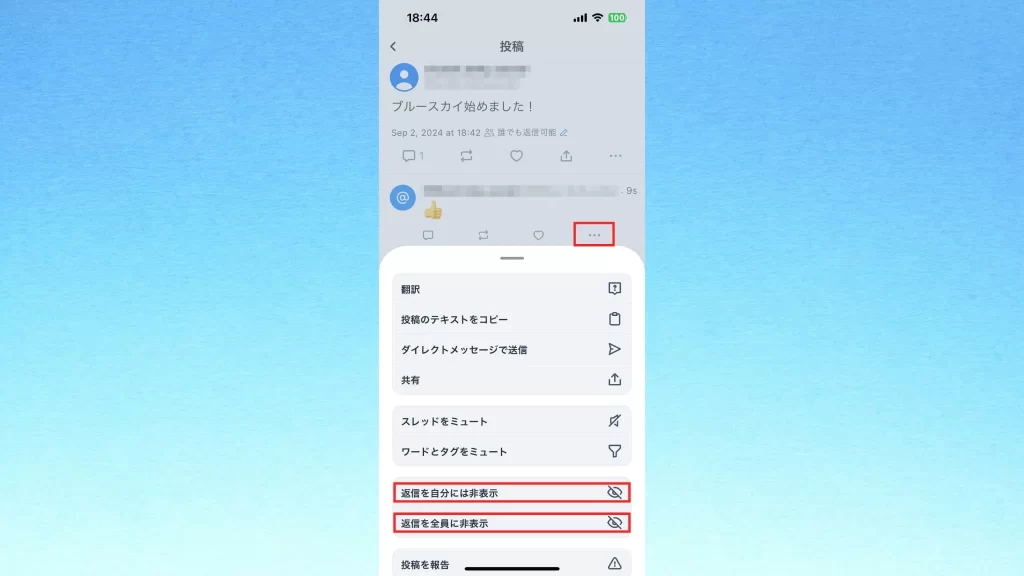 Bluesky(ブルースカイ)の返信の非表示機能のスクショ画像
